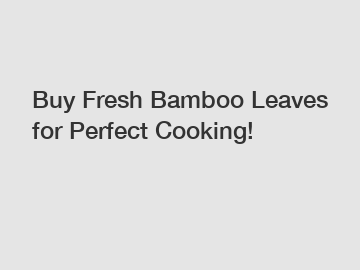 Buy Fresh Bamboo Leaves for Perfect Cooking!