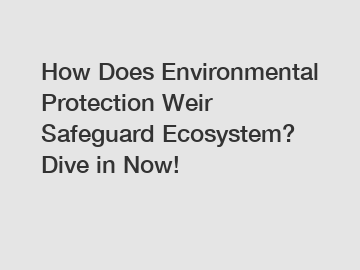 How Does Environmental Protection Weir Safeguard Ecosystem? Dive in Now!