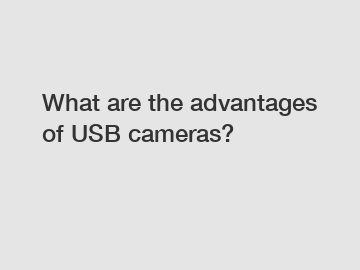 What are the advantages of USB cameras?