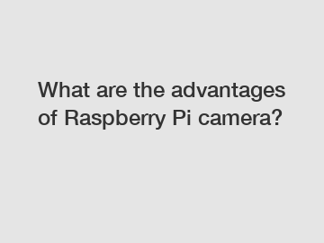 What are the advantages of Raspberry Pi camera?