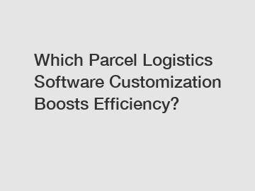 Which Parcel Logistics Software Customization Boosts Efficiency?