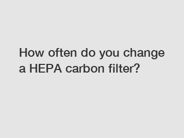 How often do you change a HEPA carbon filter?