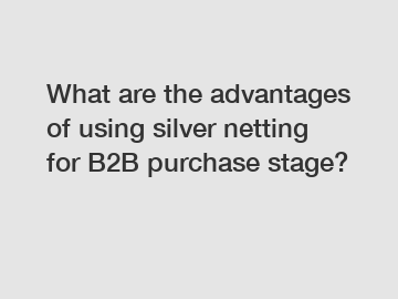 What are the advantages of using silver netting for B2B purchase stage?
