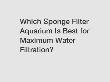 Which Sponge Filter Aquarium Is Best for Maximum Water Filtration?