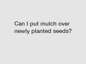 Can I put mulch over newly planted seeds?