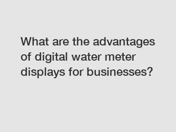 What are the advantages of digital water meter displays for businesses?