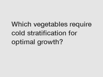 Which vegetables require cold stratification for optimal growth?