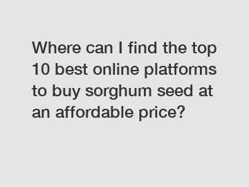 Where can I find the top 10 best online platforms to buy sorghum seed at an affordable price?