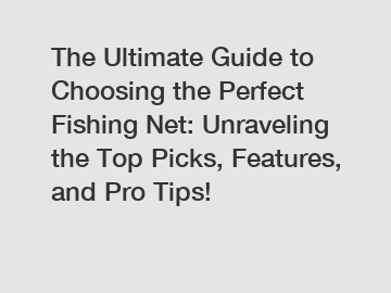 The Ultimate Guide to Choosing the Perfect Fishing Net: Unraveling the Top Picks, Features, and Pro Tips!
