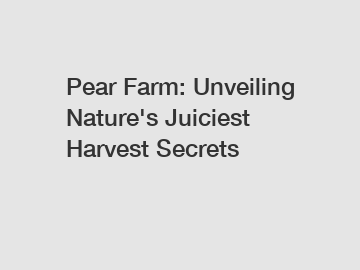 Pear Farm: Unveiling Nature's Juiciest Harvest Secrets