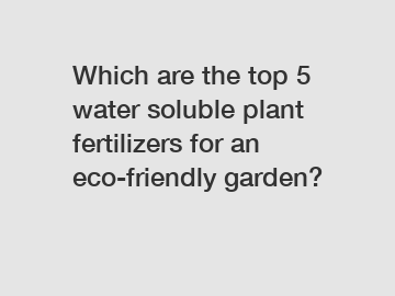 Which are the top 5 water soluble plant fertilizers for an eco-friendly garden?