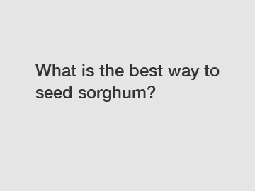 What is the best way to seed sorghum?