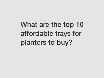 What are the top 10 affordable trays for planters to buy?