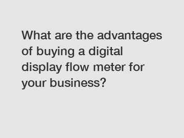 What are the advantages of buying a digital display flow meter for your business?