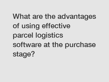 What are the advantages of using effective parcel logistics software at the purchase stage?