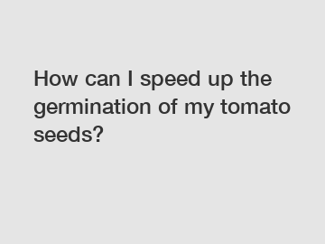 How can I speed up the germination of my tomato seeds?