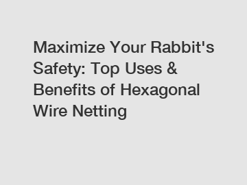 Maximize Your Rabbit's Safety: Top Uses & Benefits of Hexagonal Wire Netting