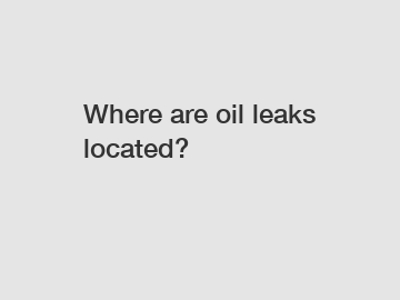 Where are oil leaks located?